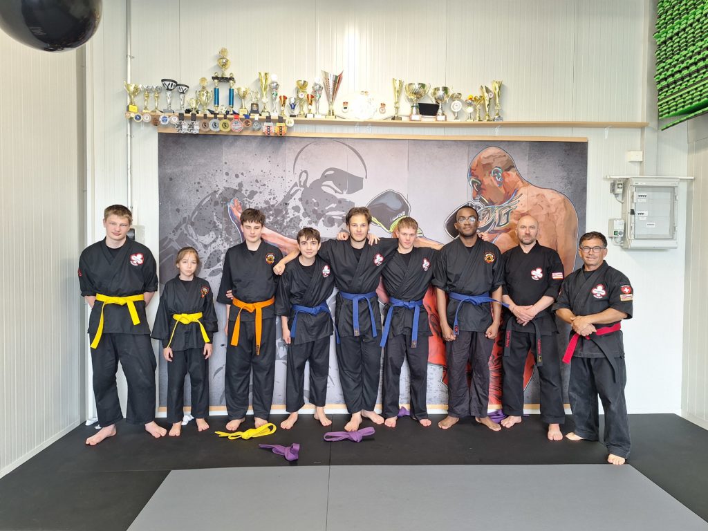 karaté, le judo, le ju-jutsu, le kenpo et la boxe.